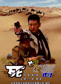 久久99精品久久