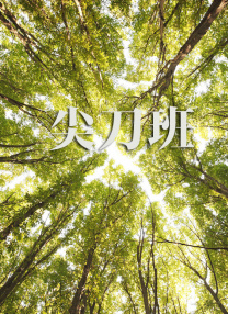 隔壁班的女生