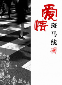 女人与公拘交酡全过程